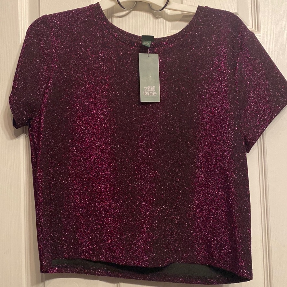 Purple shimmer crop top wild fable (matching skirt in another listing)